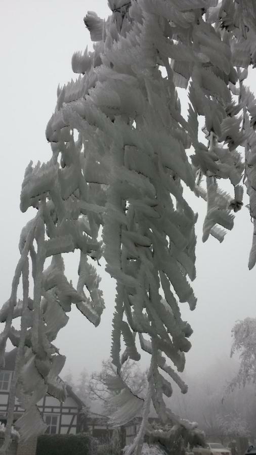 Homeaway Winterberg Dış mekan fotoğraf